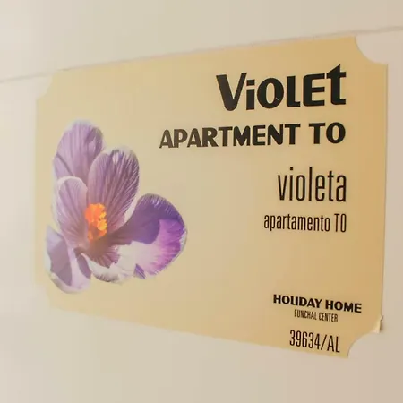 Center Apartament